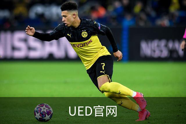 UED官网 公司介绍